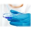 FY10 Technology Image