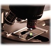 Oncology Trial Support Image